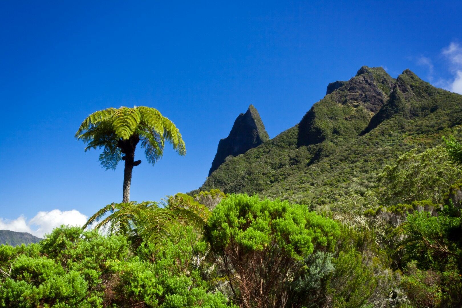 La Réunion, Joyau de l'Océan Indien - Ext. Maurice - 14J/11N - 2027 pas cher photo 1