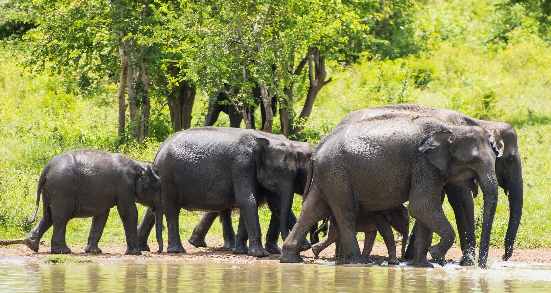 Grand Tour du Sri Lanka - 14 jours / 11 nuits - Privatif 2027 pas cher photo 7