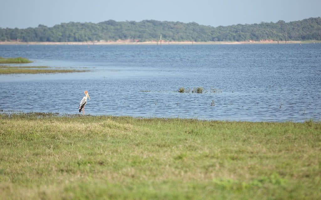 Circuit Sri Lanka : L'Ile Merveilleuse 3 - 7 nuits - tout compris pas cher photo 1