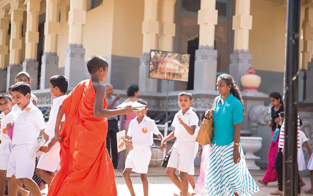 Circuit Sri Lanka : L'Ile Merveilleuse 3 - 7 nuits - tout compris pas cher photo 4
