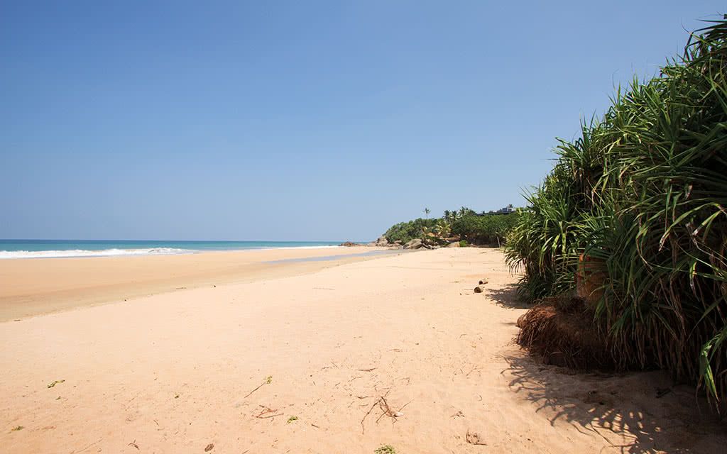 Circuit Sri Lanka : L'Ile Merveilleuse 4 - 7 nuits - tout compris pas cher photo 7