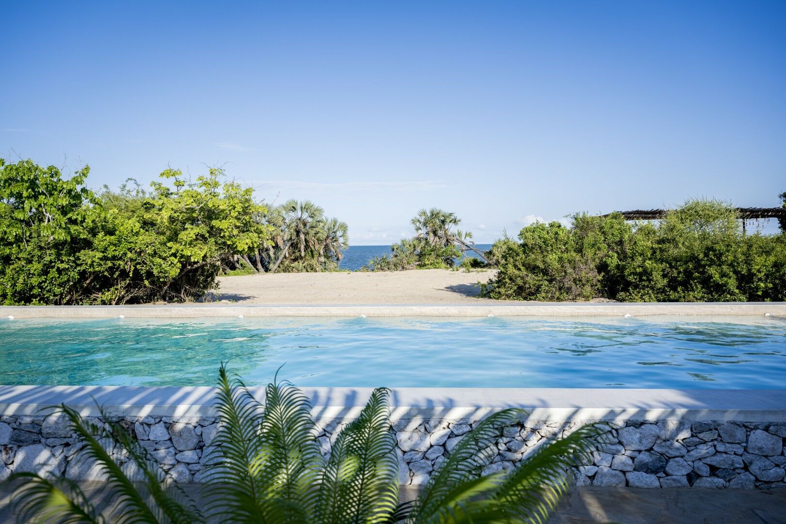 Safaris à Saadani & Balnéaire à Zanzibar 11J/8N - 2027 - Itinéraire revisité pas cher photo 2