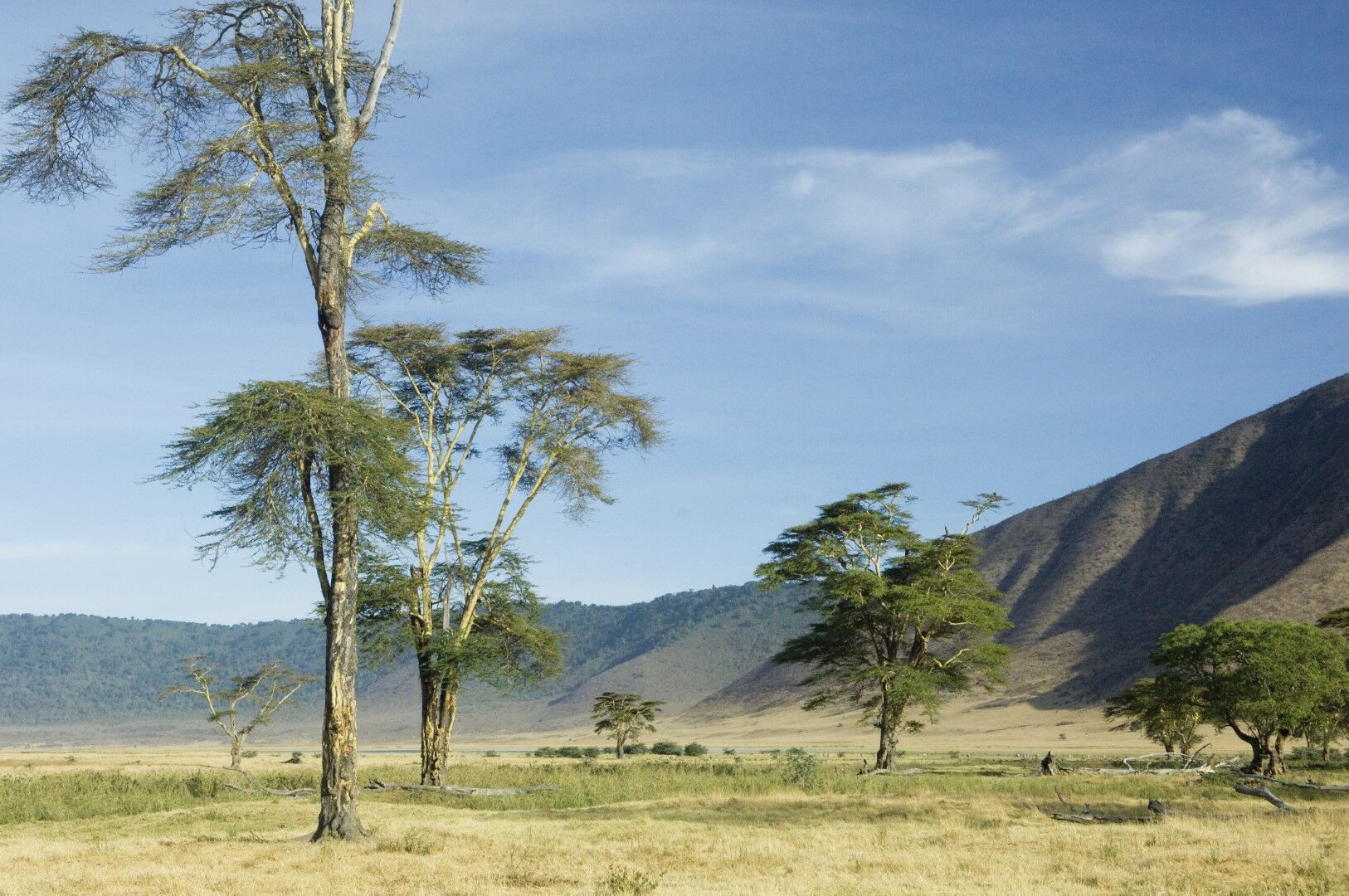L'Essentiel de la Tanzanie - 8J/5N pas cher photo 1
