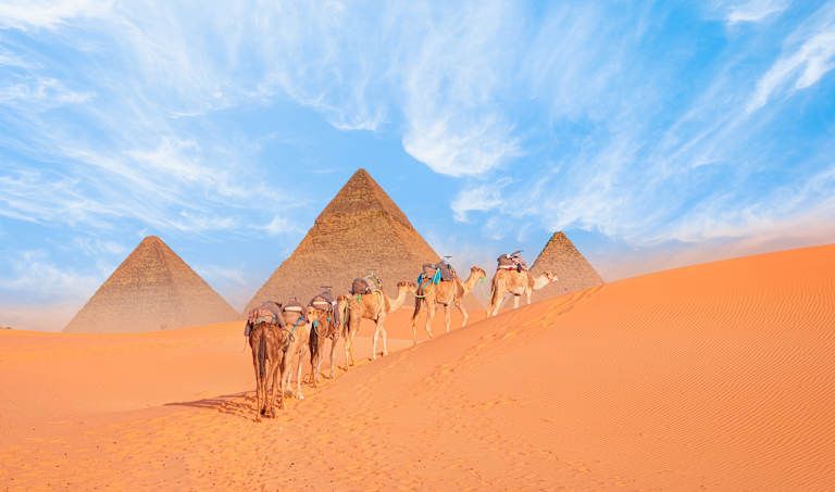 Découverte du Caire avec entrée au nouveau musée du Caire inclus - 5* pas cher photo 3