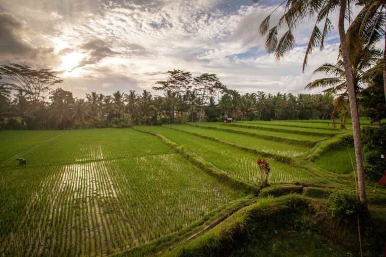 Combiné Junjungan Ubud Hotel and Spa & Bali Agung Village - 3* pas cher photo 12