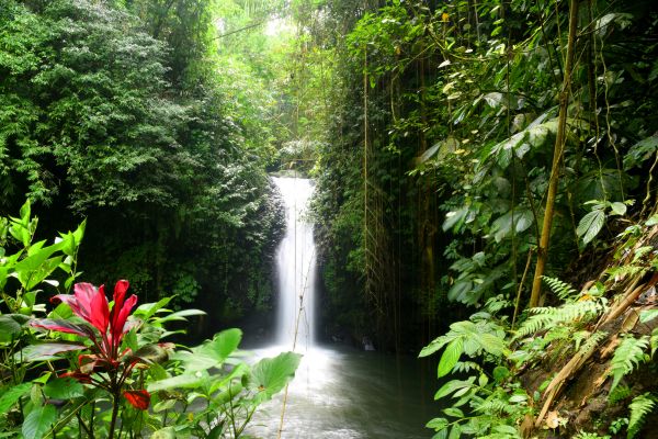 Combiné Jungle, Cascades et Sable de Bali - Vols Flex pas cher photo 7