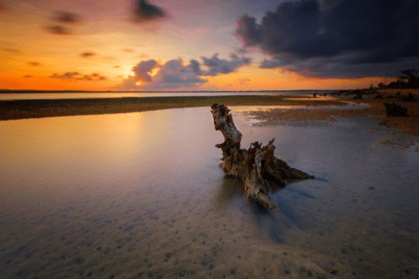 Combiné Jungle, Rizières et Sable de Bali - Vols Flex pas cher photo 19