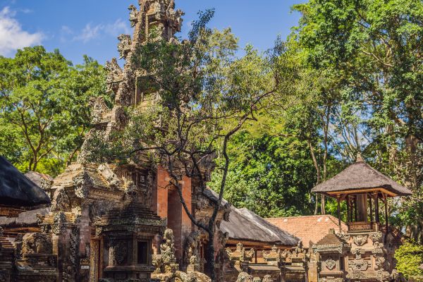 Combiné Jungle, île de Gili et Sable de Bali 4* - Vols Flex pas cher photo 5