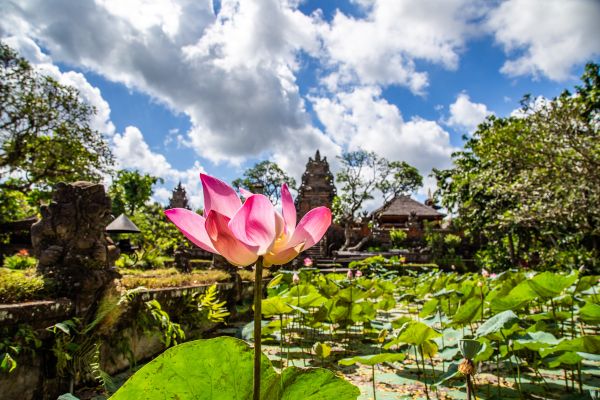 Combiné Jungle, île de Gili et Sable de Bali - Vols Flex pas cher photo 9