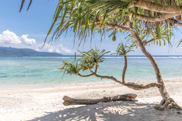 Combiné Jungle, île de Gili et Sable de Bali - Vols Flex pas cher photo 17