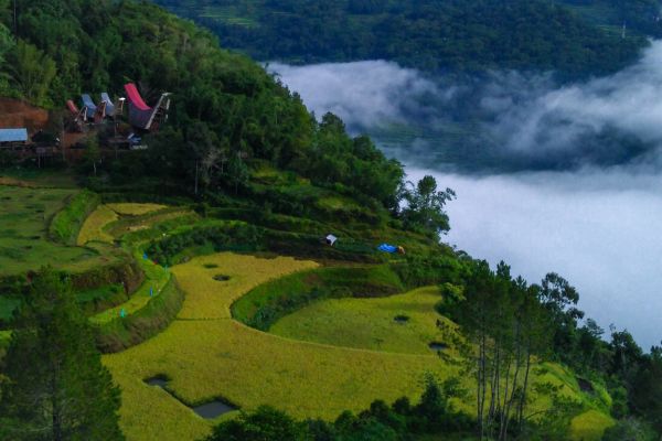 Circuit De Java au Pays Toraja - Vols Flex pas cher photo 6