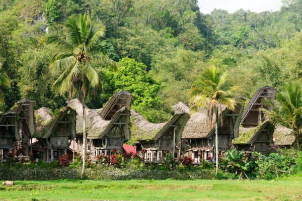 Circuit De Java au Pays Toraja - Vols Flex pas cher photo 9