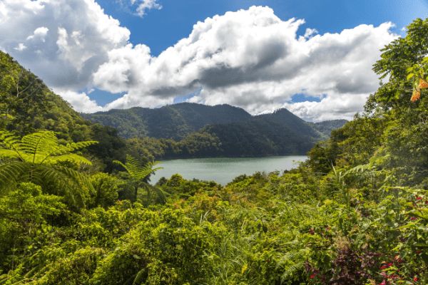 Circuit Les Perles Cachées des Visayas : Voyage au Coeur du Paradis - Vols Flex pas cher photo 1