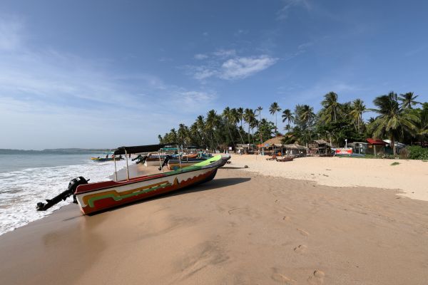 Circuit Grand Tour du Sri Lanka pas cher photo 6