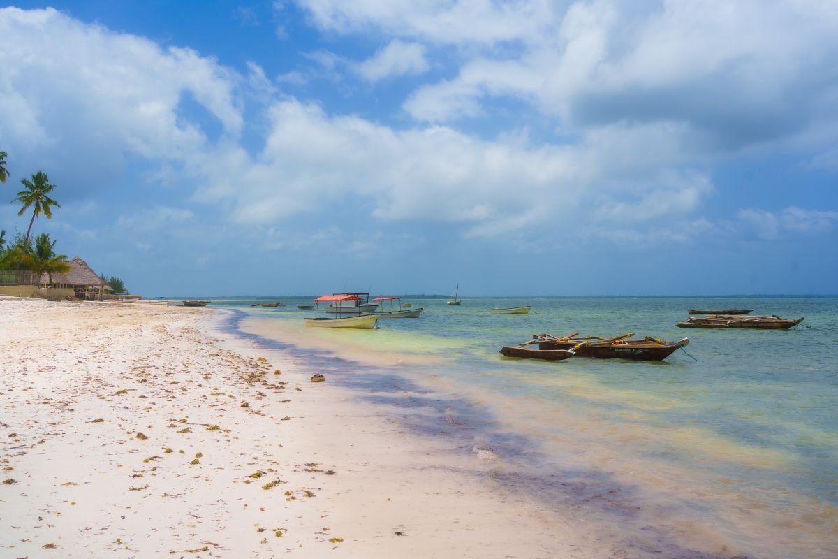 Safari Saadani Kasa Bay par bateau 2 nuits et Séjour Au Olzadia Boutique Hotel 4* pas cher photo 1