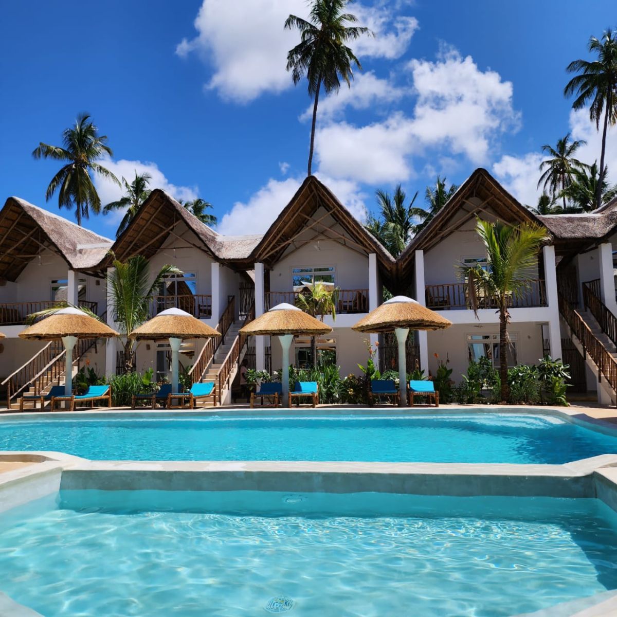 Safari Saadani Kasa Bay par bateau 2 nuits et Séjour Au Olzadia Boutique Hotel 4* pas cher photo 13