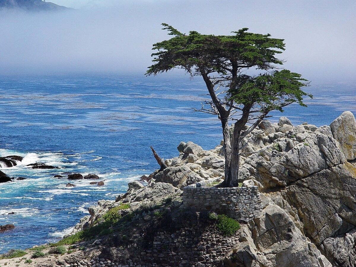 Légendes de l’Ouest ext. Côte Californienne – 14J/12N – 2027 pas cher photo 29