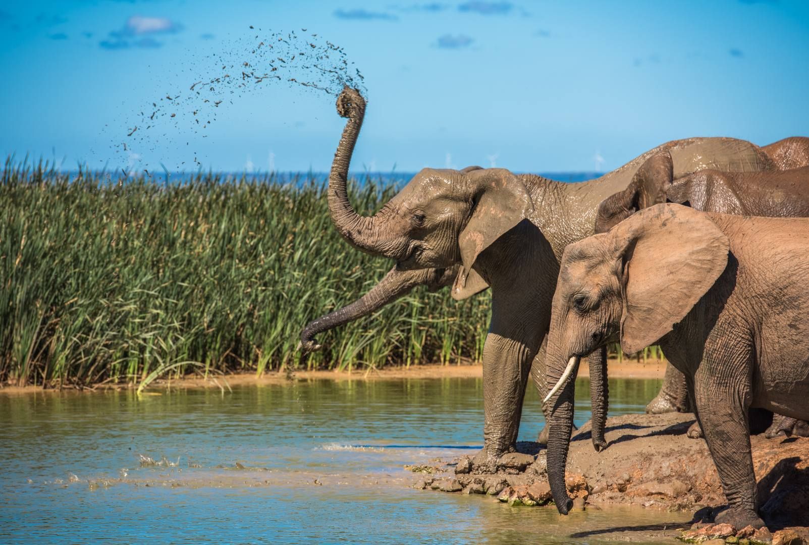 Trésors d'Afrique du Sud, Chutes Victoria & Parc de Chobe 13J/ 10N Limité à 10 personnes - 2027 pas cher photo 2