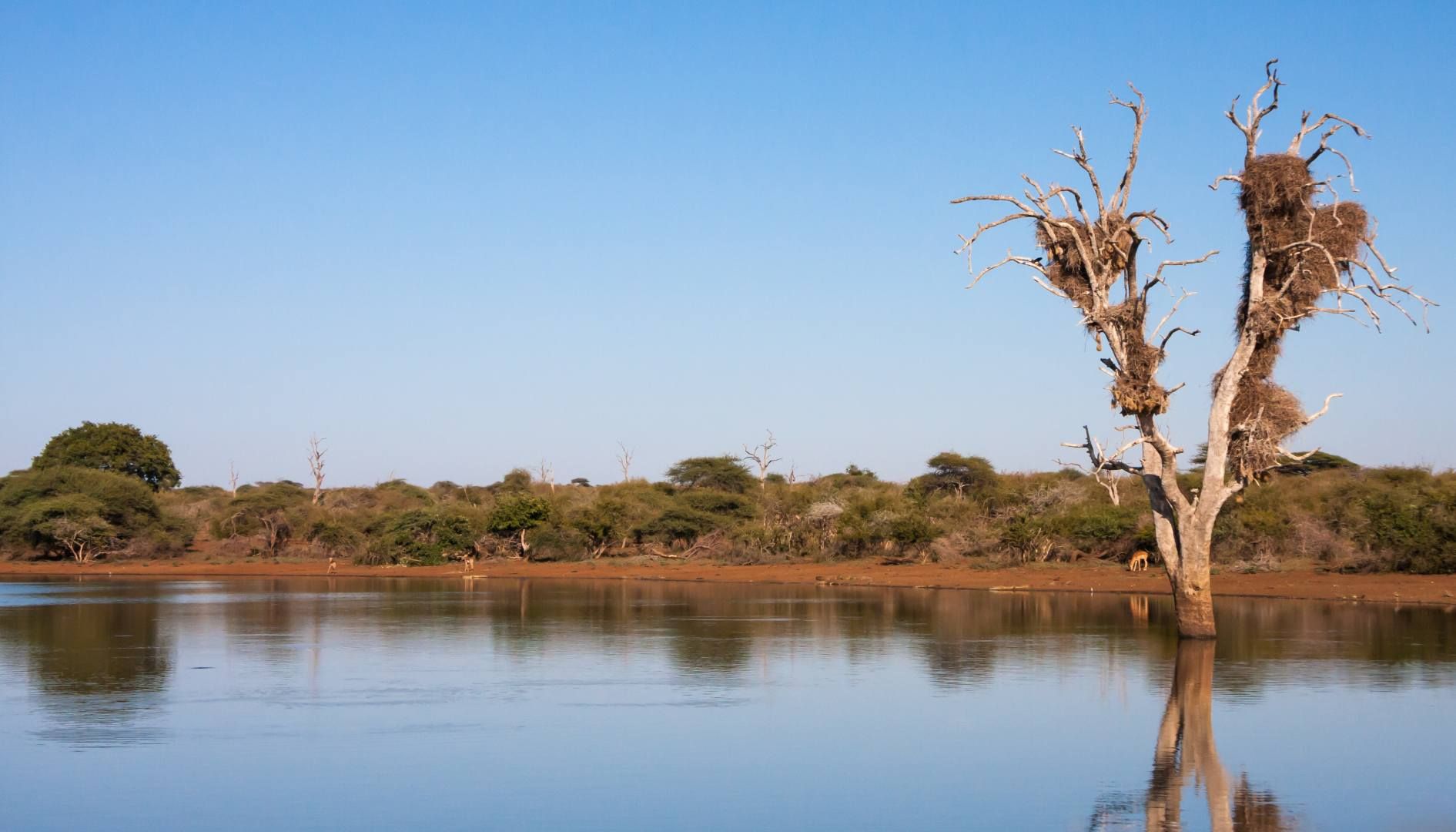 Trésors d'Afrique du Sud, Chutes Victoria & Parc de Chobe 13J/ 10N Limité à 10 personnes - 2027 pas cher photo 8
