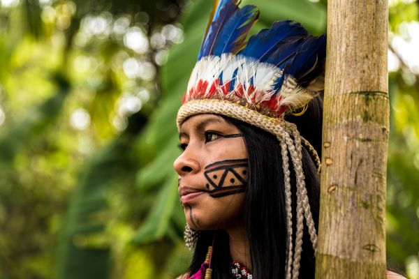 Circuit Brésil, Entre Samba, Caïpirinha et Jungle Amazonienne pas cher