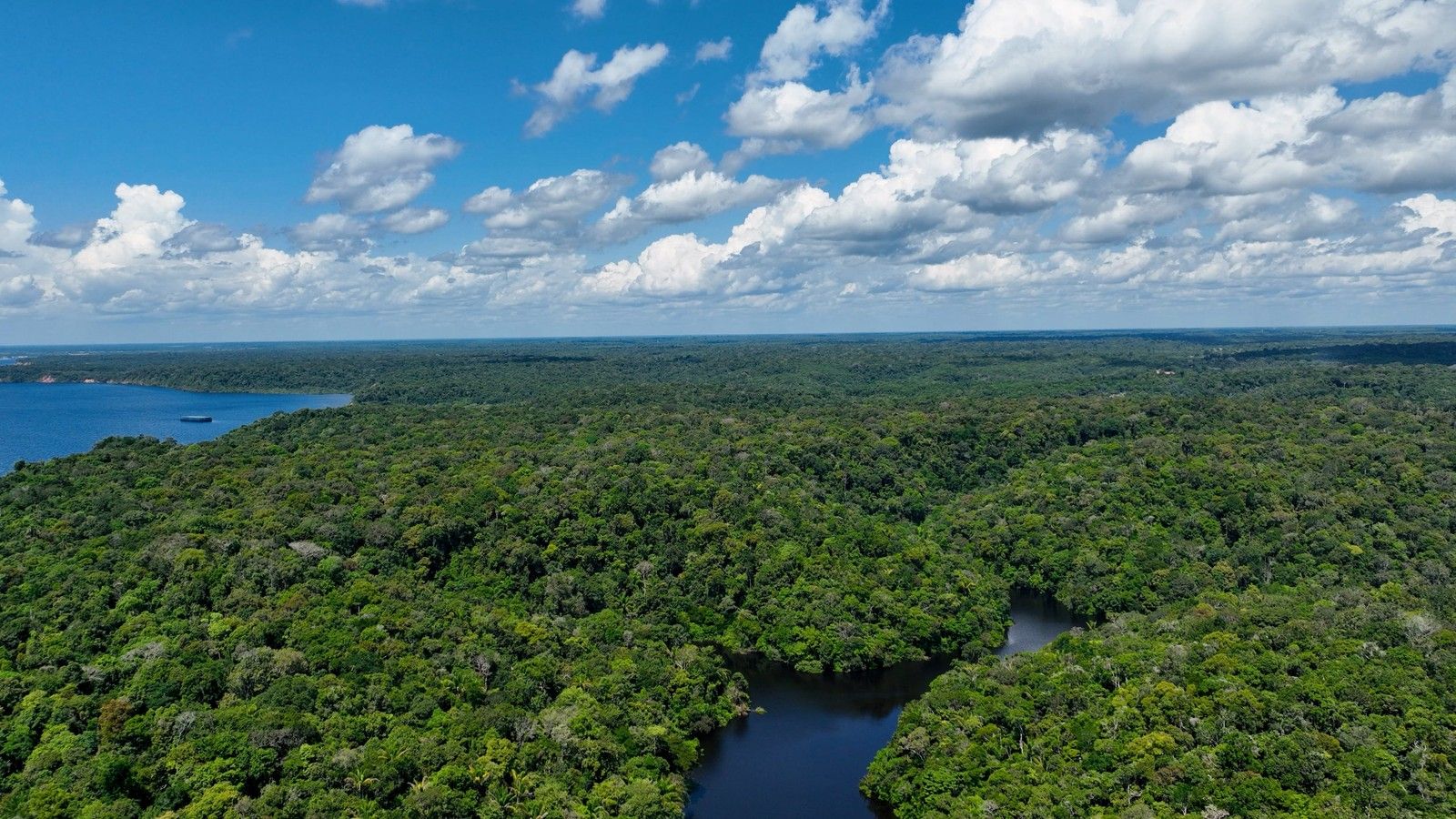 Merveilles du Brésil et Amazonie - 14J/11N - Limité à 16 pers. - 2027 pas cher photo 9