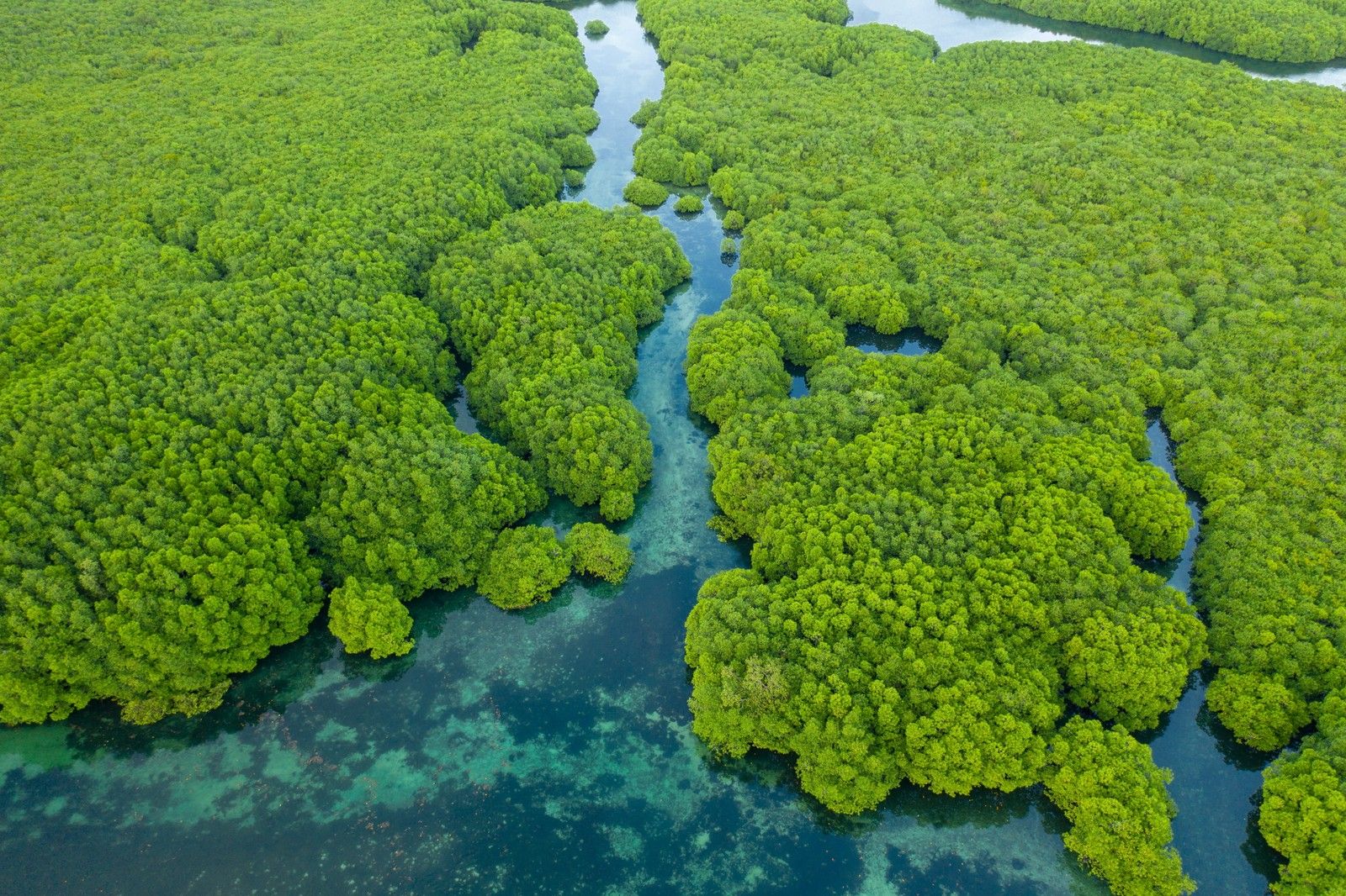 Merveilles du Brésil et Amazonie - 14J/11N - Limité à 16 pers. - 2027 pas cher photo 10