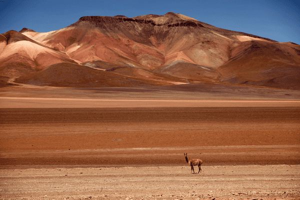 Circuit Grand Panorama Andin : Chili, Bolivie & Pérou - Vols Flex pas cher photo 25
