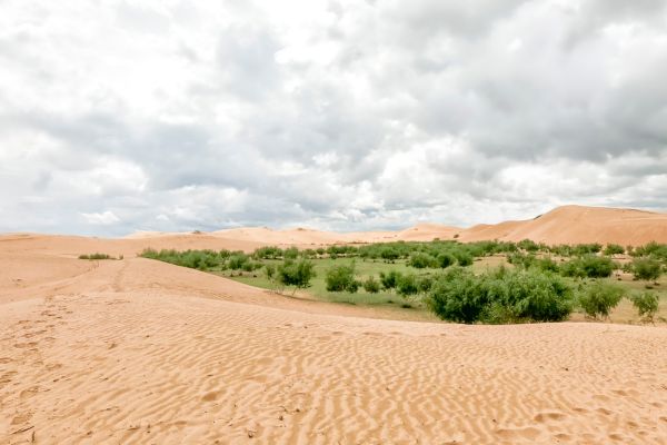 Circuit Chine et Mongolie, de l'Empire du Milieu aux Steppes Nomades - Vols Flex pas cher photo 4