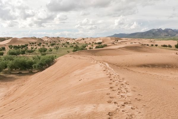 Circuit Chine et Mongolie, de l'Empire du Milieu aux Steppes Nomades - Vols Flex pas cher photo 8