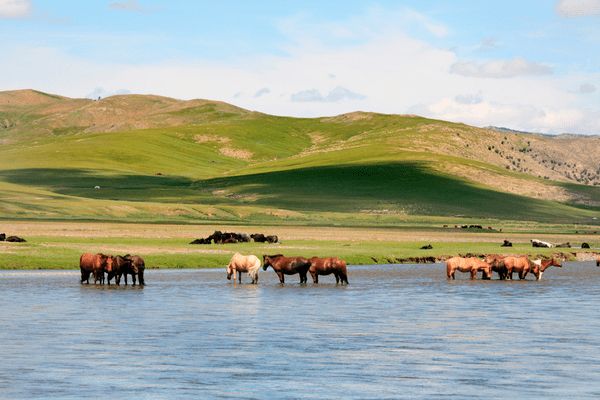 Circuit Chine et Mongolie, de l'Empire du Milieu aux Steppes Nomades - Vols Flex pas cher photo 23