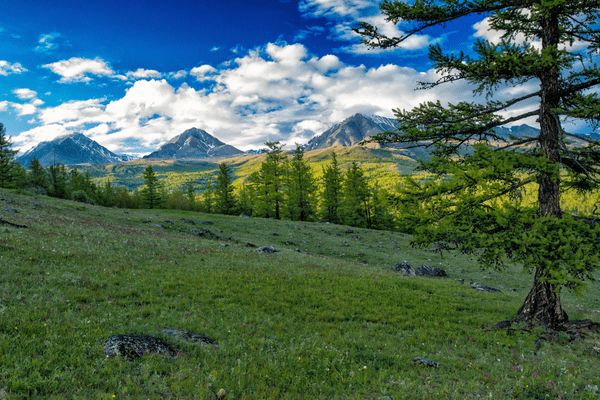 Circuit Chine et Mongolie, de l'Empire du Milieu aux Steppes Nomades - Vols Flex pas cher photo 26