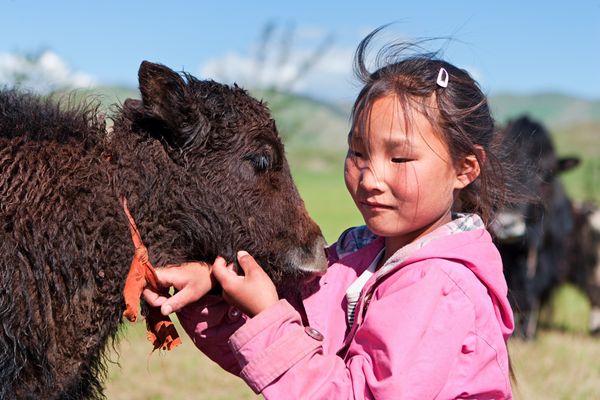 Circuit Chine et Mongolie, de l'Empire du Milieu aux Steppes Nomades - Vols Flex pas cher photo 27