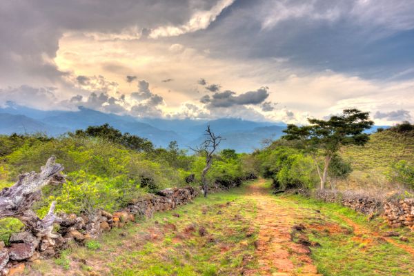 Circuit Les Incontournables de la Colombie en Privatif - Vols Flex pas cher photo 22