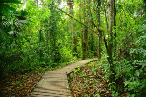 Circuit Viva Colombia et Parc Tayrona ! - Vols Flex pas cher photo 41