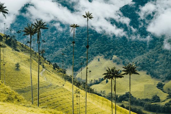 Circuit Les Incontournables de la Colombie en Privatif - Vols Flex pas cher photo 8