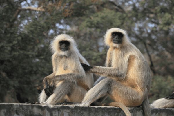 Aventure en famille en Inde du Nord & Bollywood à Bombay - Vols Flex pas cher