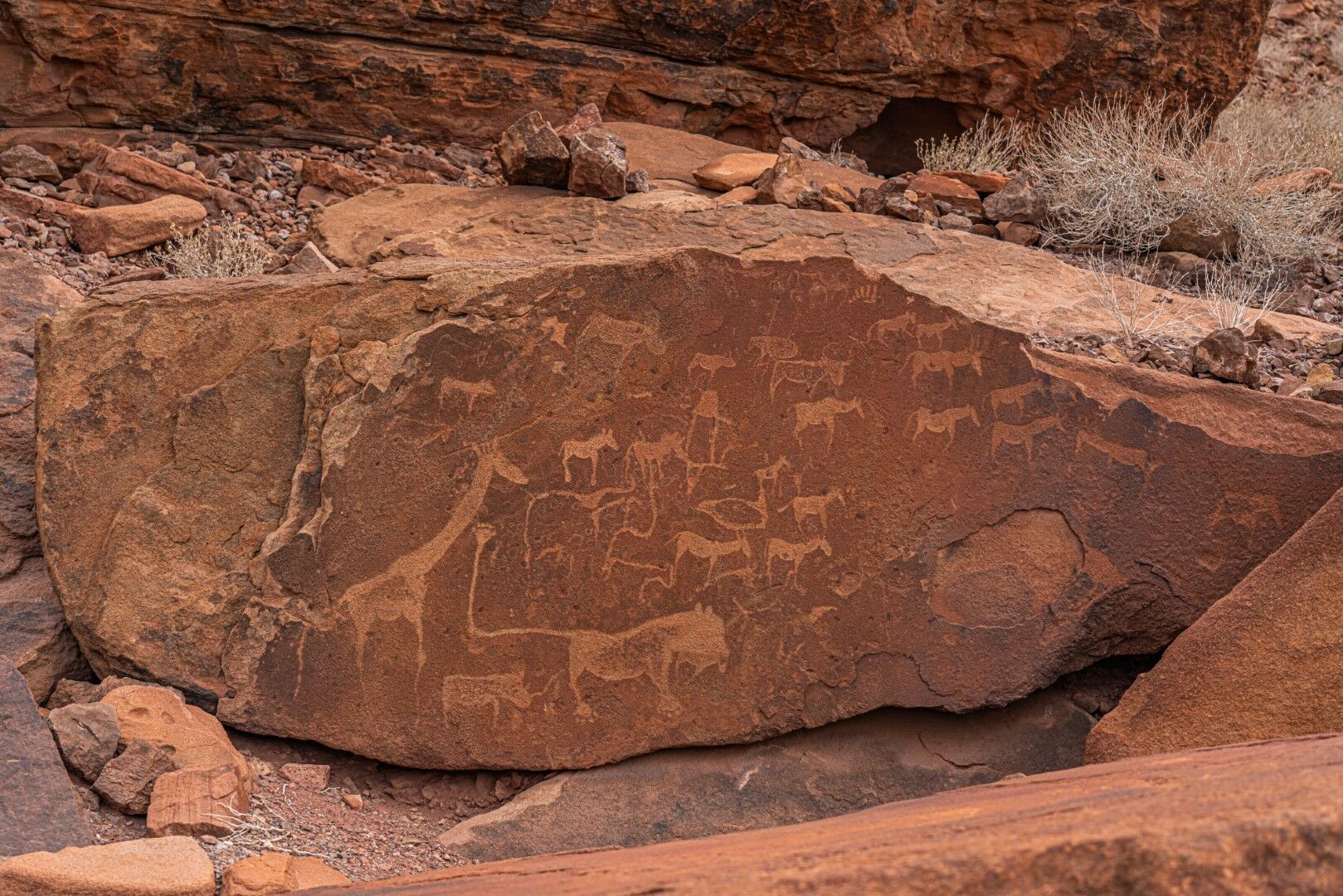 Couleurs de Namibie 14J/11N - Limité à 8 pers. par véhicule - 2027 pas cher photo 3