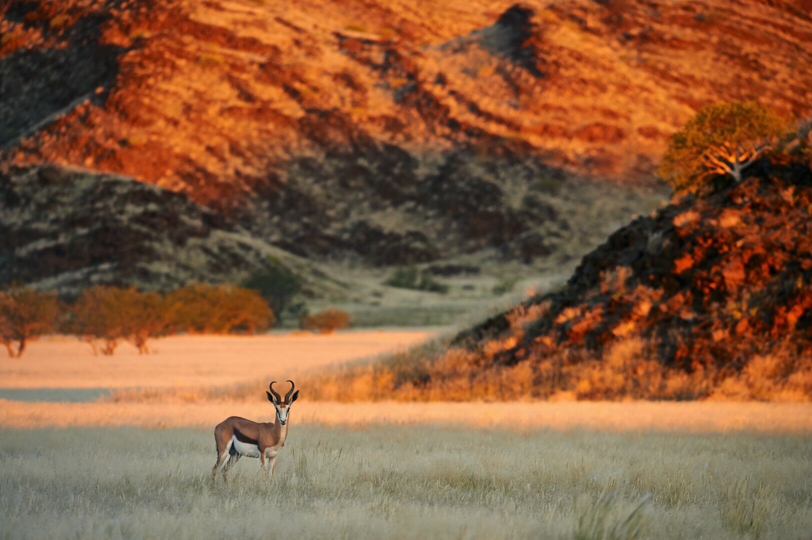 Couleurs de Namibie et Chutes Victoria - 16J/13N - Limité à 8 pers. par véhicule - 2027 pas cher photo 2