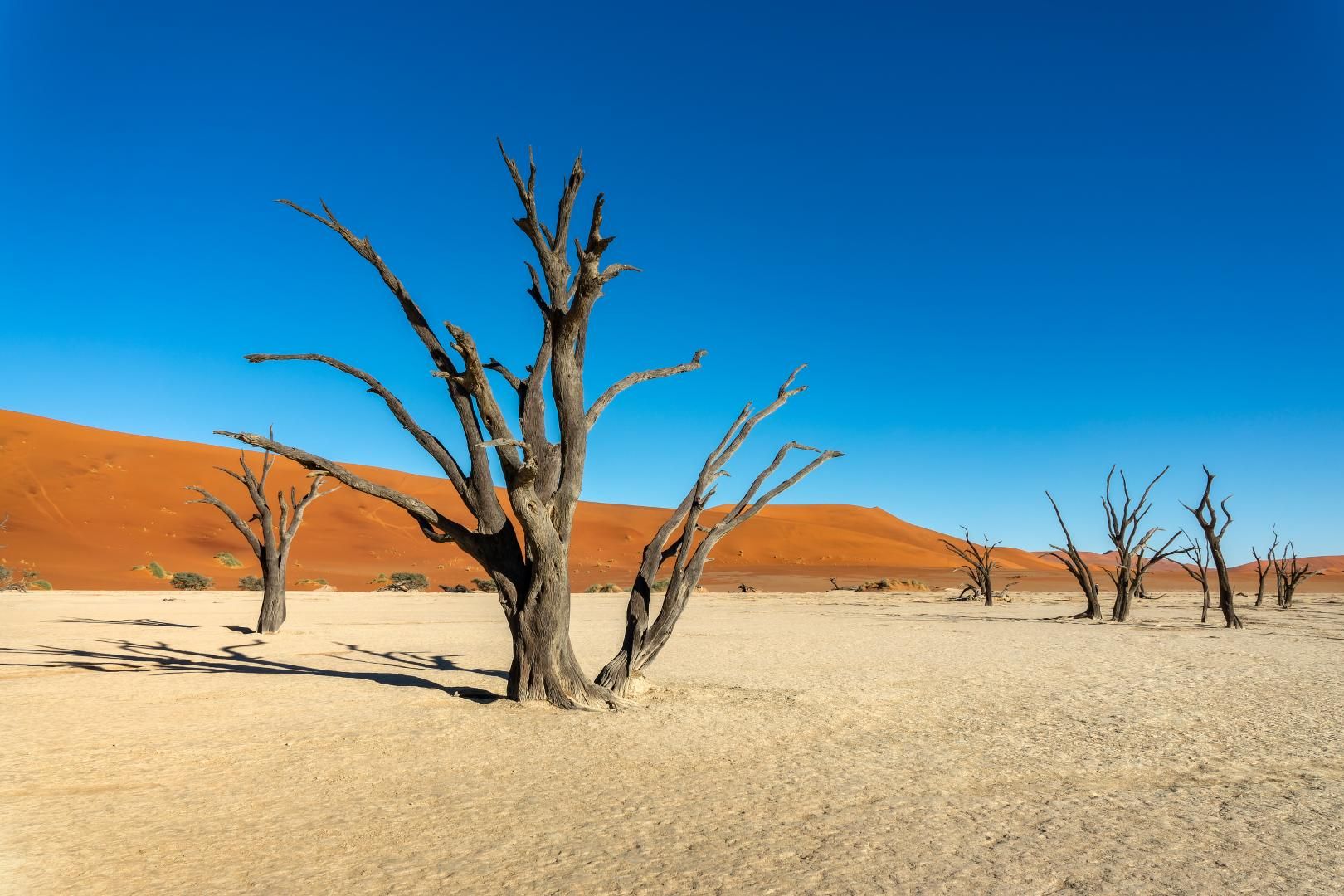 Trésors d'Afrique Australe 16J/13N - Sens inversé - Limité à 8 pers. par véhicule - 2027 pas cher