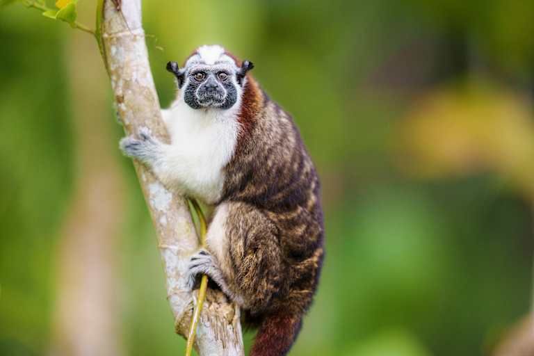 Une Aventure centraméricaine : Entre Panama City et Carthagène pas cher photo 6
