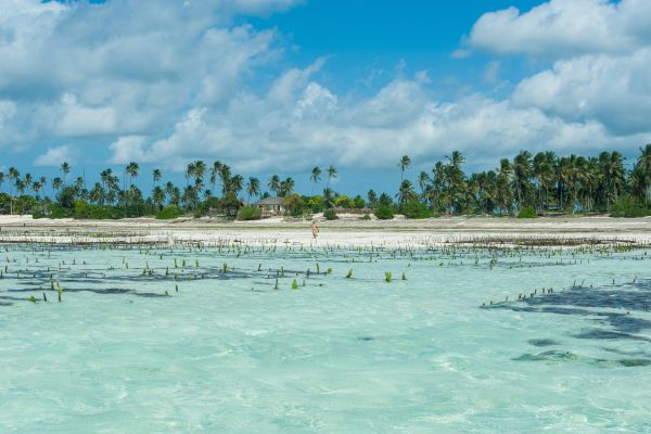 Aventure Wanawake Entre Epices & Ocean... For Women Only - Vols Flex pas cher