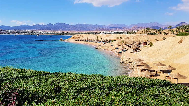 Panorama Naama Heights - 4* pas cher photo 1