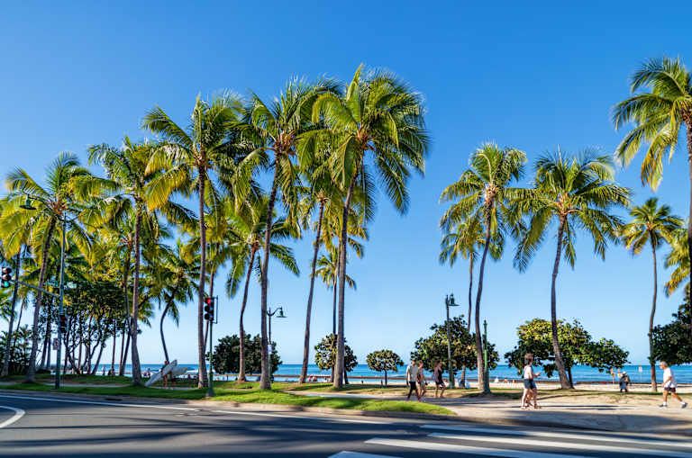 Combiné 4 îles : Oahu, Kauai, Hawaii & Maui pas cher photo 8