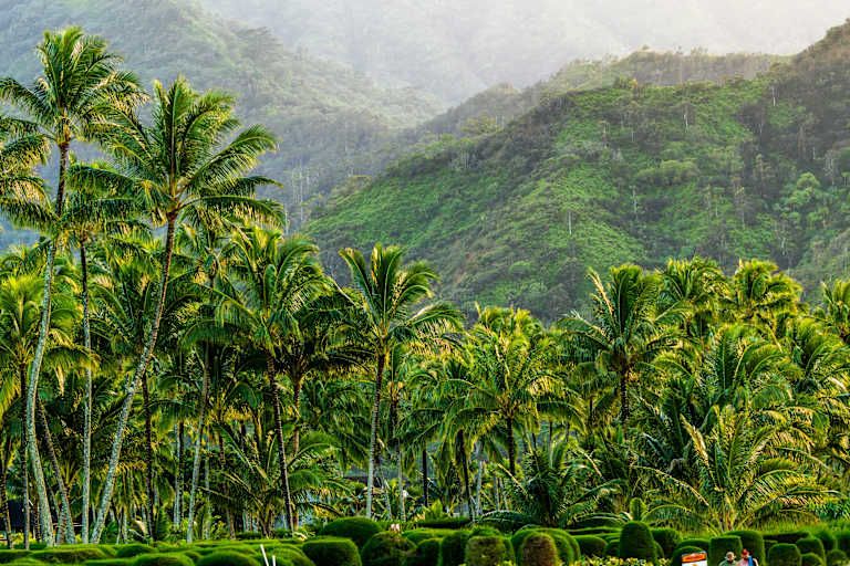 Combiné 4 îles : Oahu, Kauai, Hawaii & Maui pas cher photo 12