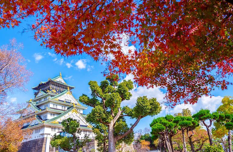 Combiné Osaka - Kyoto - Nara - 3* pas cher photo 3