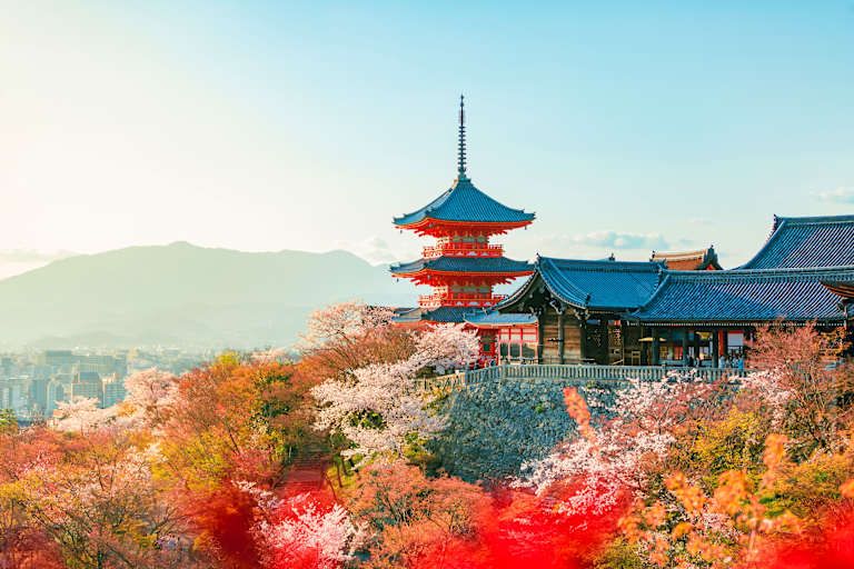 Combiné Osaka - Kyoto - Nara - 3* pas cher photo 18