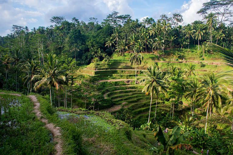 A la découverte des îles Indonésiennes : Bali, Gili & Lombok - 3* pas cher photo 7