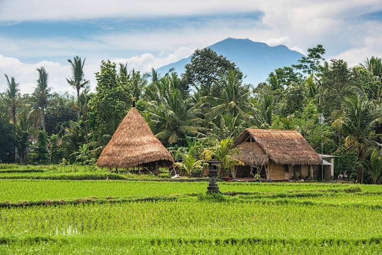 A la découverte des îles Indonésiennes : Bali, Gili & Lombok - 3* pas cher photo 9