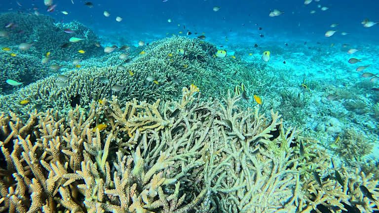 A la découverte des îles Indonésiennes : Bali, Gili & Lombok - 3* pas cher photo 14