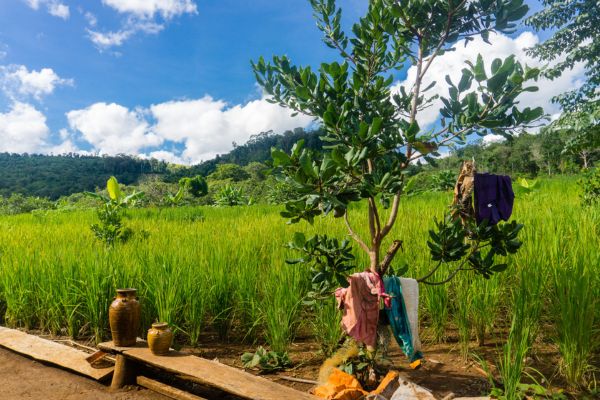 Circuit Cambodge Autrement, Ethique et responsable en Privatif - Vols Flex pas cher photo 13